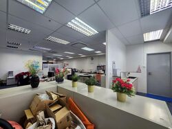 Vertex (D14), Factory #619965421